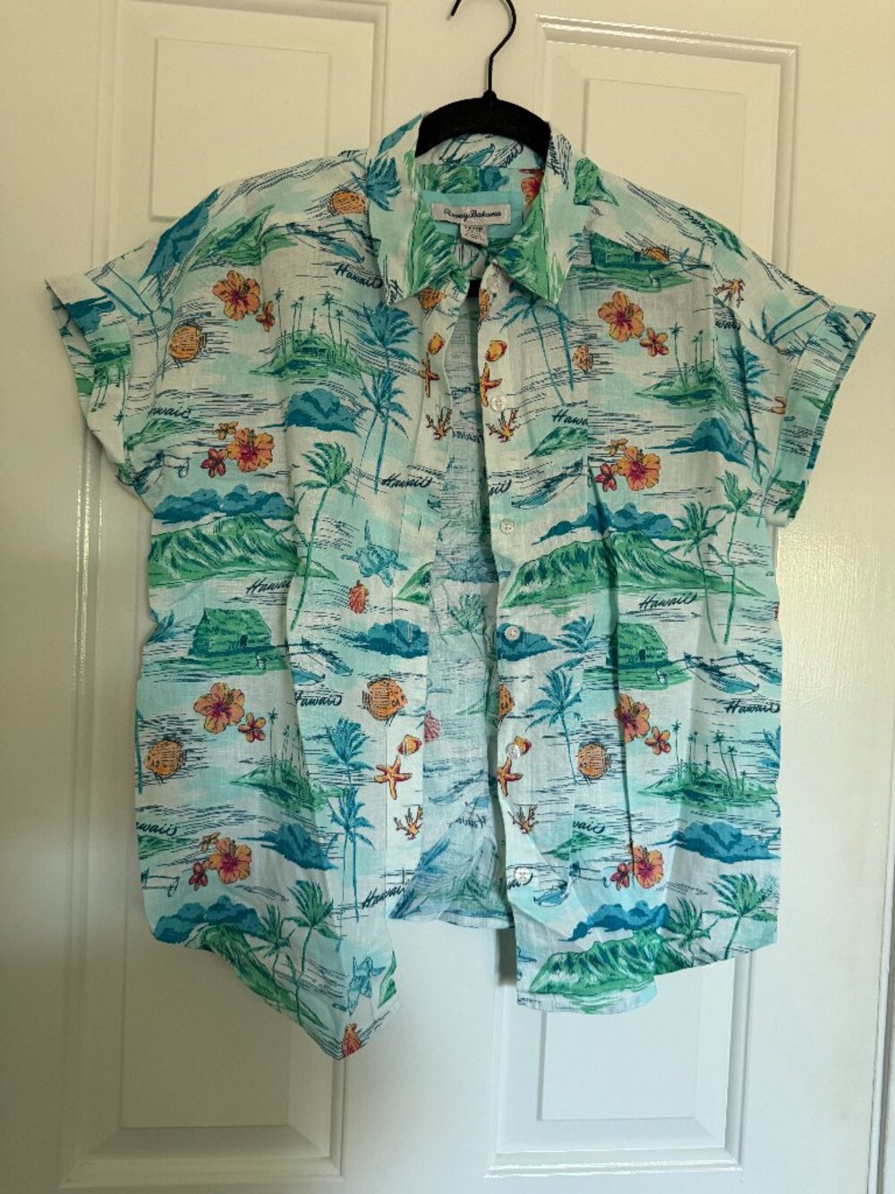 Tommy Bahama Blue Playa Grande Shirt